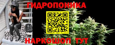 таблы Новозыбков