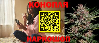таблы Новозыбков