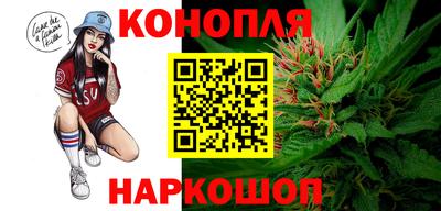 метадон Новодвинск