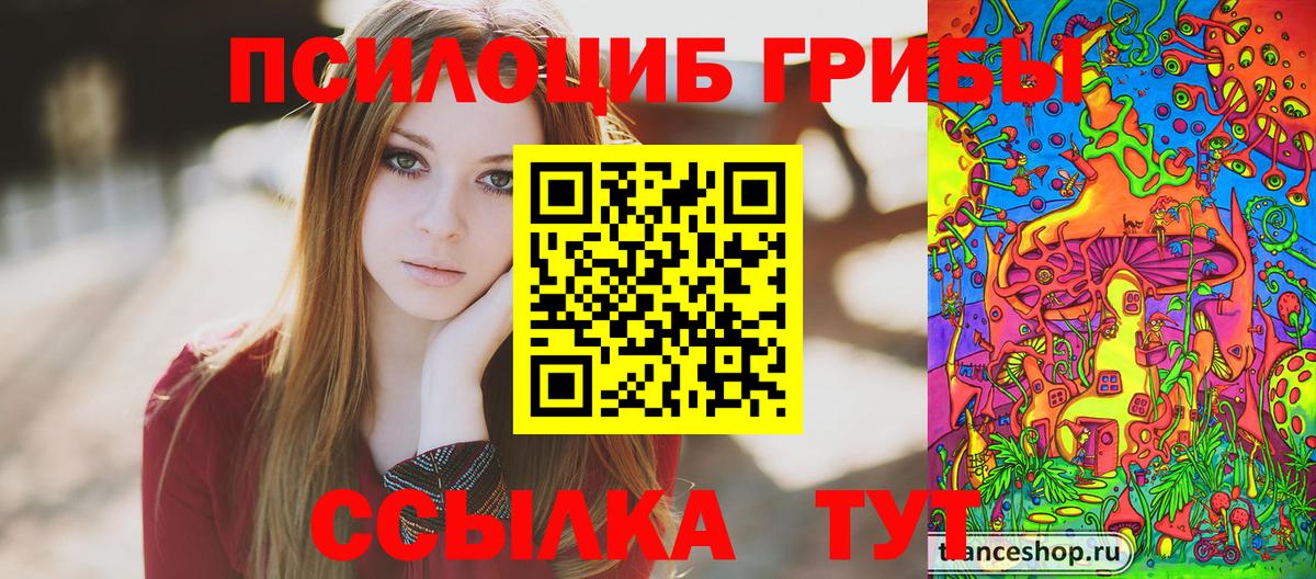 Псилоцибиновые грибы GOLDEN TEACHER  Вход с VPN  Фролово 