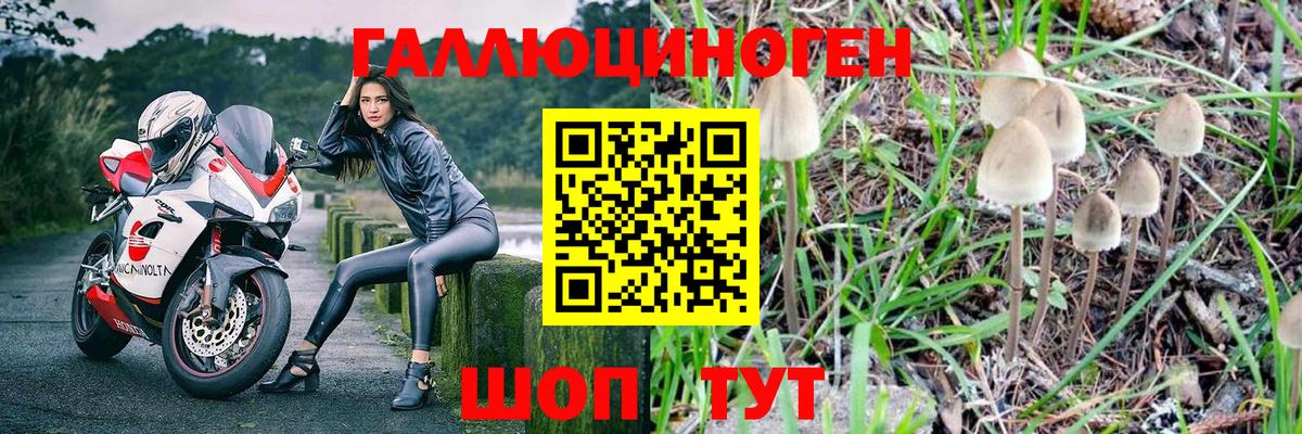 Псилоцибиновые грибы ЛСД Фролово
